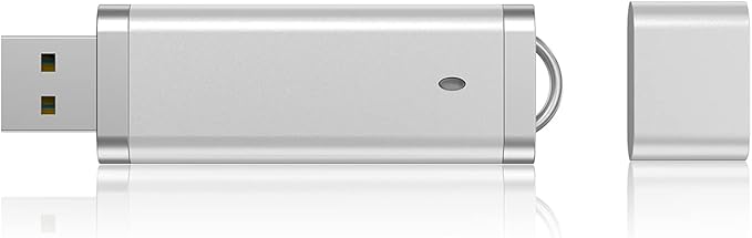KEXIN 16 GB Flash Drive 10 Pack 16GB Thumb Drive Multipack Silver Jump Drives