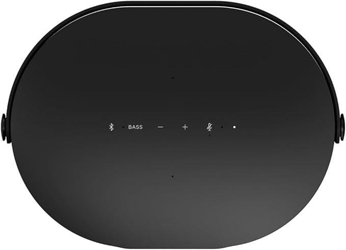Brane Audio Brane X Smart Speaker, Portable Wireless Bluetooth Speaker, Internal RAD Subwoofer, 12 Hrs Playback, Waterproof IP57