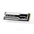 Gigastone M.2 SSD 2TB PCIe 3.0 NVMe SSD 3,500MB/s Internal Gaming Solid State Hard Drive Turbo Speed Heatsink Cooling Heat Dissipation PC Laptop Storage for Gamers Video Editing Creators