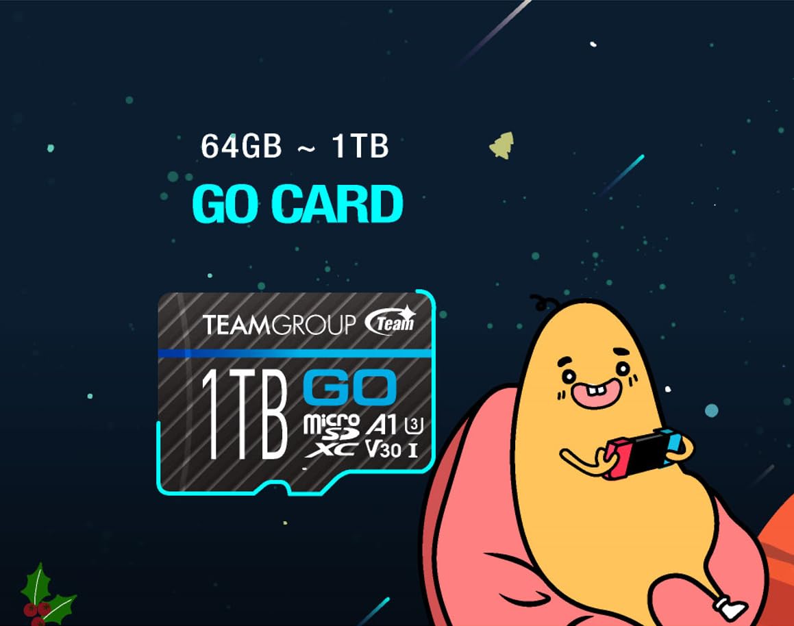 TEAMGROUP GO Card 256GB MicroSDXC UHS-I U3 V30 4K for Action Cameras & Drone High Speed Flash Memory Card with Adapter for Outdoor Sports&Vlog, 4K Shooting,GoPro&Insta360&DJI TGUSDX256GU303