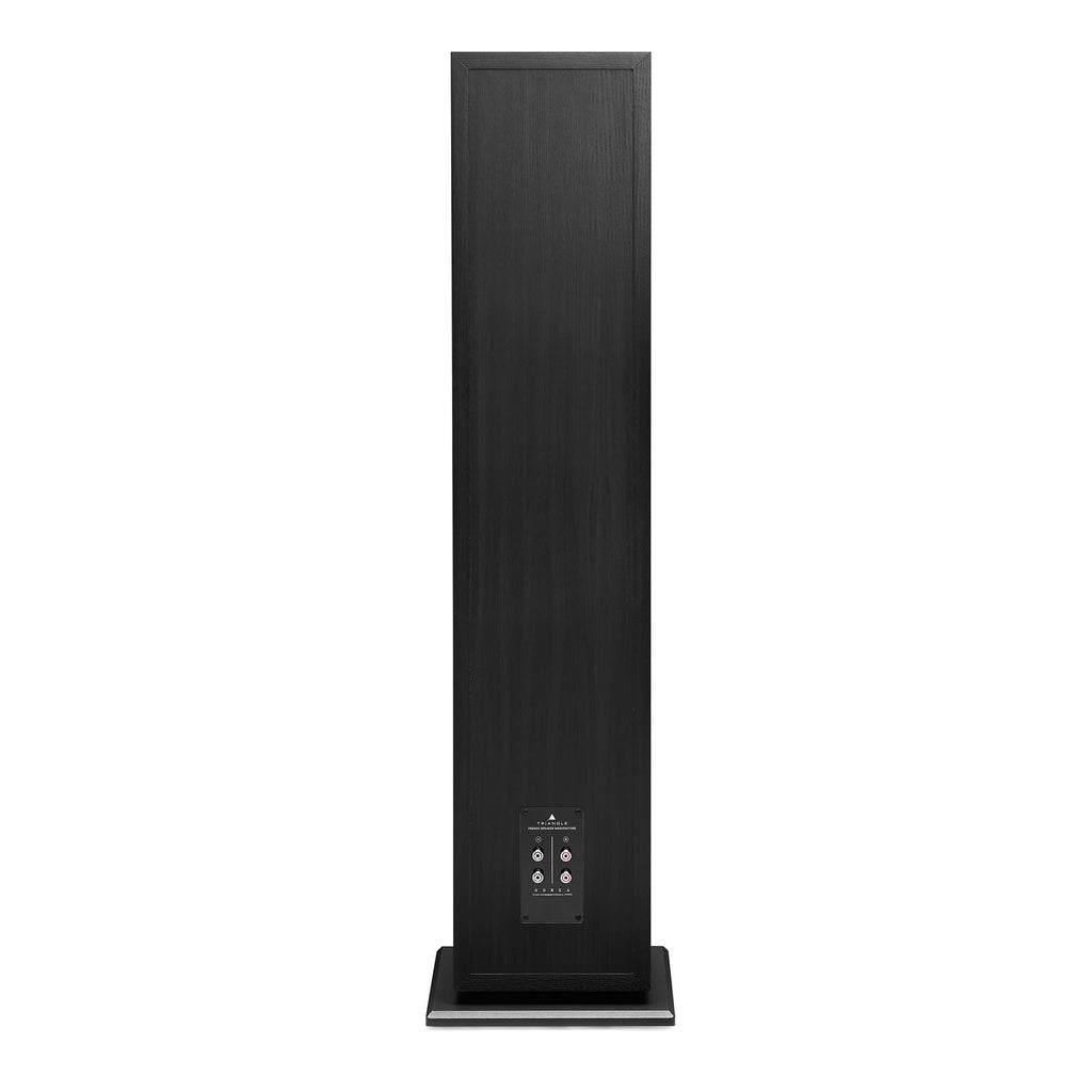 triangle Borea BR10 Tower Speaker (Each) – 3-Way Floorstanding Loudspeaker with Dual 8" Woofers, Deep Bass & Wide Soundstage – Premium Hi-Fi Audio – Black