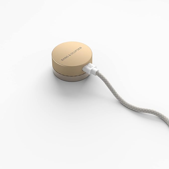 Bang & Olufsen Beosound Level Portable Wi-Fi Multiroom Speaker, Gold Tone/Light Oak