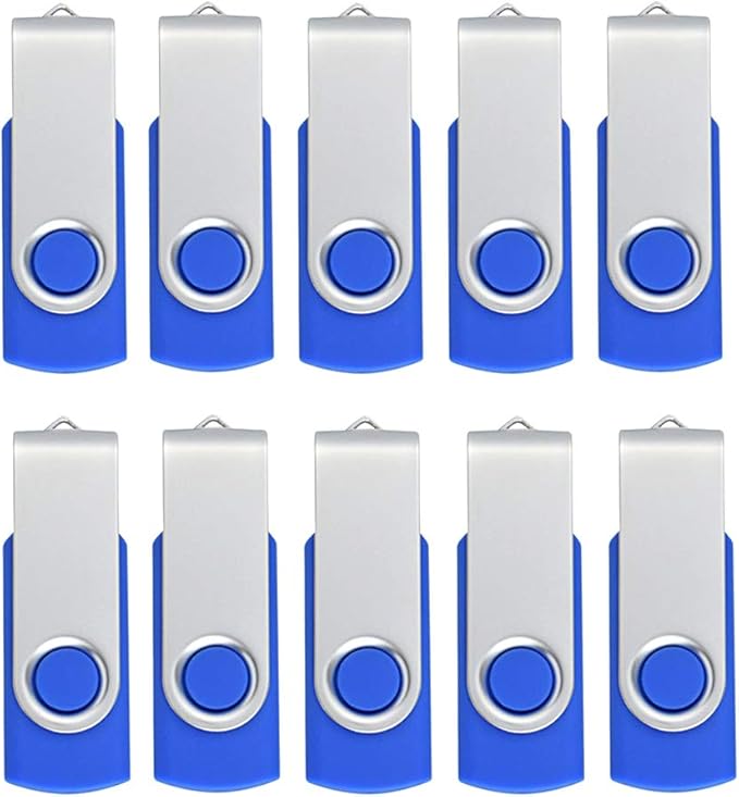 Aiibe 2GB Flash Drive USB Flash Drive Thumb Drives 2G USB 2.0 Memory Stick Wholesale/Lot/Bulk (2GB, 10 Pack, Blue)