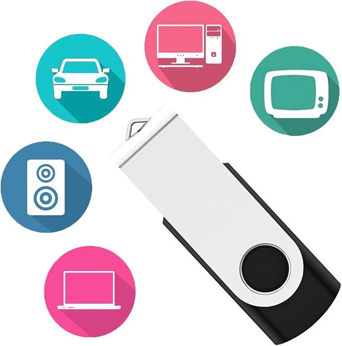USB Flash Drive 256MB 20 Pack, Bulk USB 2.0 Thumb Drives Swivel Memory Stick Jump Drive Pen Drive,256MB 20 Pieces