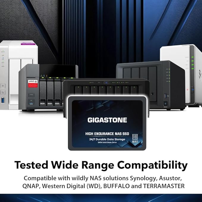 Gigastone 2TB NAS SSD Drive (12-Pack) 24/7 Durable TLC High Endurance RAID Data Storage Network Attached Storage 2.5" SATA Internal Solid State Hard Drives