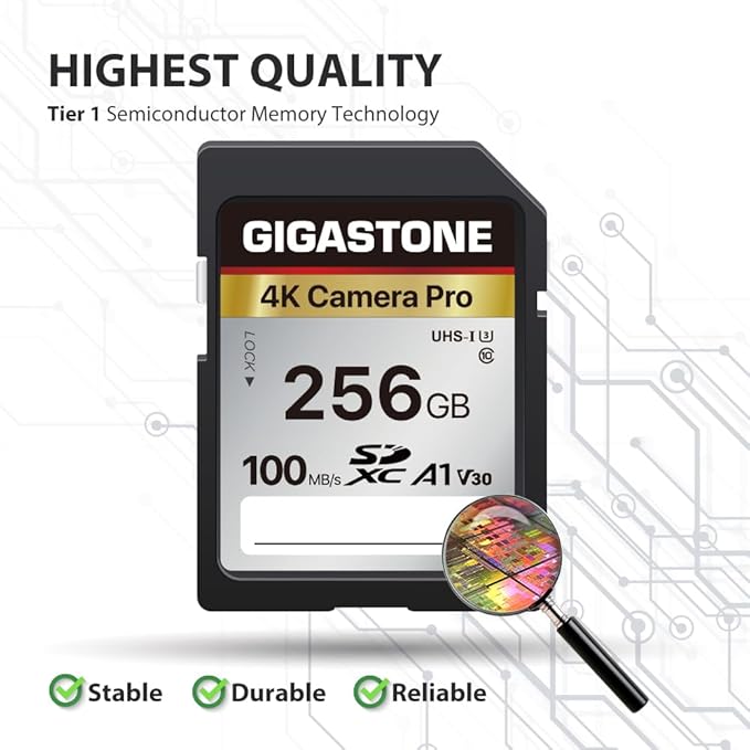 [5-Yrs Free Data Recovery] GIGASTONE 256GB 2-Pack SD Card, 4K Camera Pro, A1 V30 SDXC Memory Card 4K UHD Video Compatible with Canon Digital Camera, with 2 Mini Cases