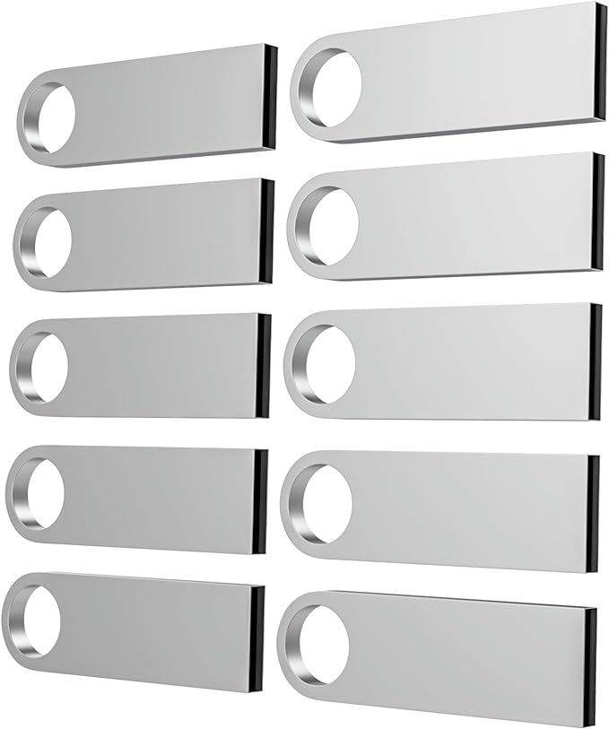 ABLAZE 1GB Flash Drive 10 Pack, Metal USB 2.0 Thumb Drives with Keychains USB Sticks Pendrives (Sliver)