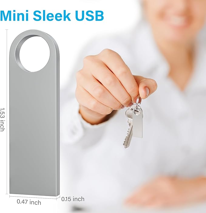 ABLAZE 1GB Flash Drive 20 Pack, Metal USB 2.0 Thumb Drives with Keychains USB Sticks Pendrives (Sliver)