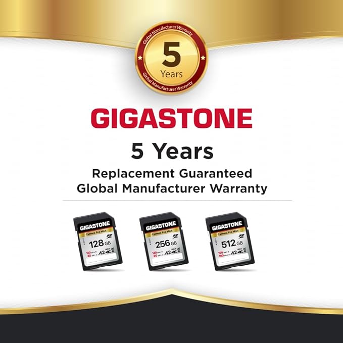 [5-Yrs Free Data Recovery] GIGASTONE 256GB SD Card, 4K Camera Pro MAX, A2 4K SDXC Memory Card High Speed 4K UHD Video Compatible with Canon Kodak Digital Camera, with 1 Mini case
