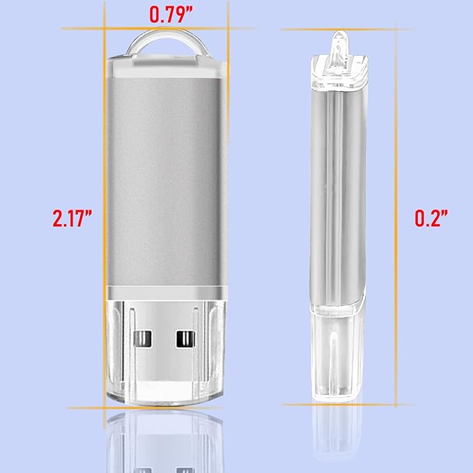 USB Thumb Drive 4GB Flash Drives 20 Pack, Nicepicten Memorias USB 2.0 Memory Stick FAT32 Flash Zip Drive 4 GB Jump Drives Multipack Pendrive with Landards and Lables (Sliver 4GB, 20 Pieces)