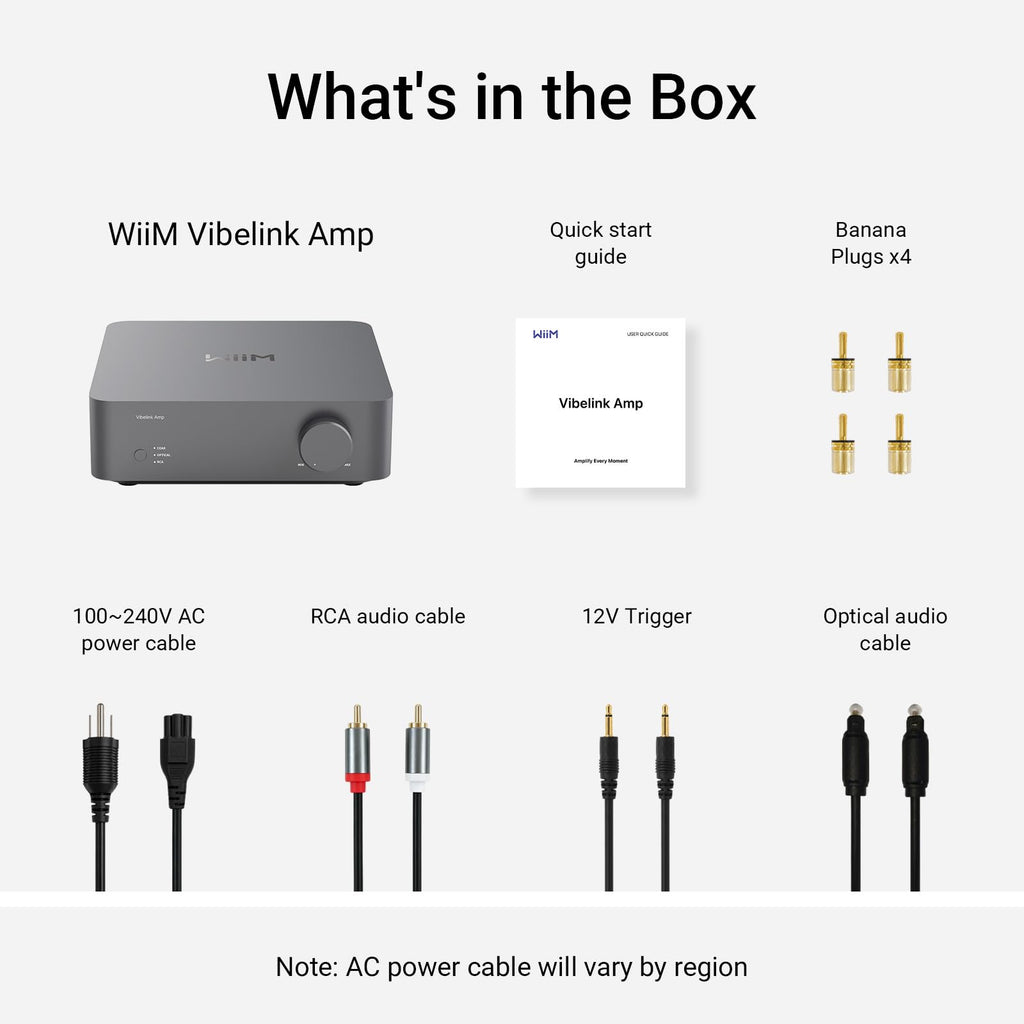 WiiM Vibelink Amp | 100W Power Amplifier with Premium ESS 9039Q2M DAC and TI TPA3255 | Compatible with WiiM Mini, Pro, Pro Plus, and Ultra | RCA, Coax, and Optical Inputs | Space Gray
