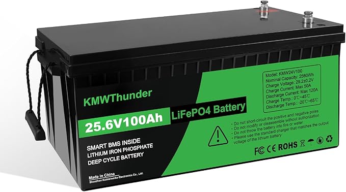 24V 100Ah LiFePO4 Lithium Battery, Built-in Smart BMS,Low-Temp Protection Up to Group 31 Deep Cycle Battery for Trolling Motor, RV, Solar, Marine, Camping and Off Grid Applications