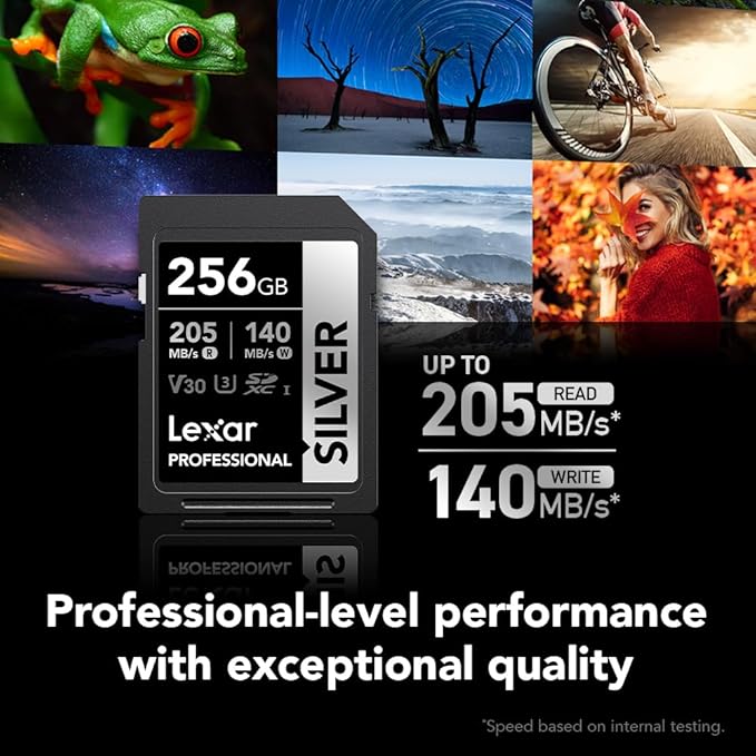 Lexar 256GB Professional Silver SD Card, UHS-I, C10, U3, V30, 4K, Up to 205/140 MB/s SDXC Memory Card, for Professional Photographer, Videographer, Enthusiast (LSDSILV256G-BNNNU)