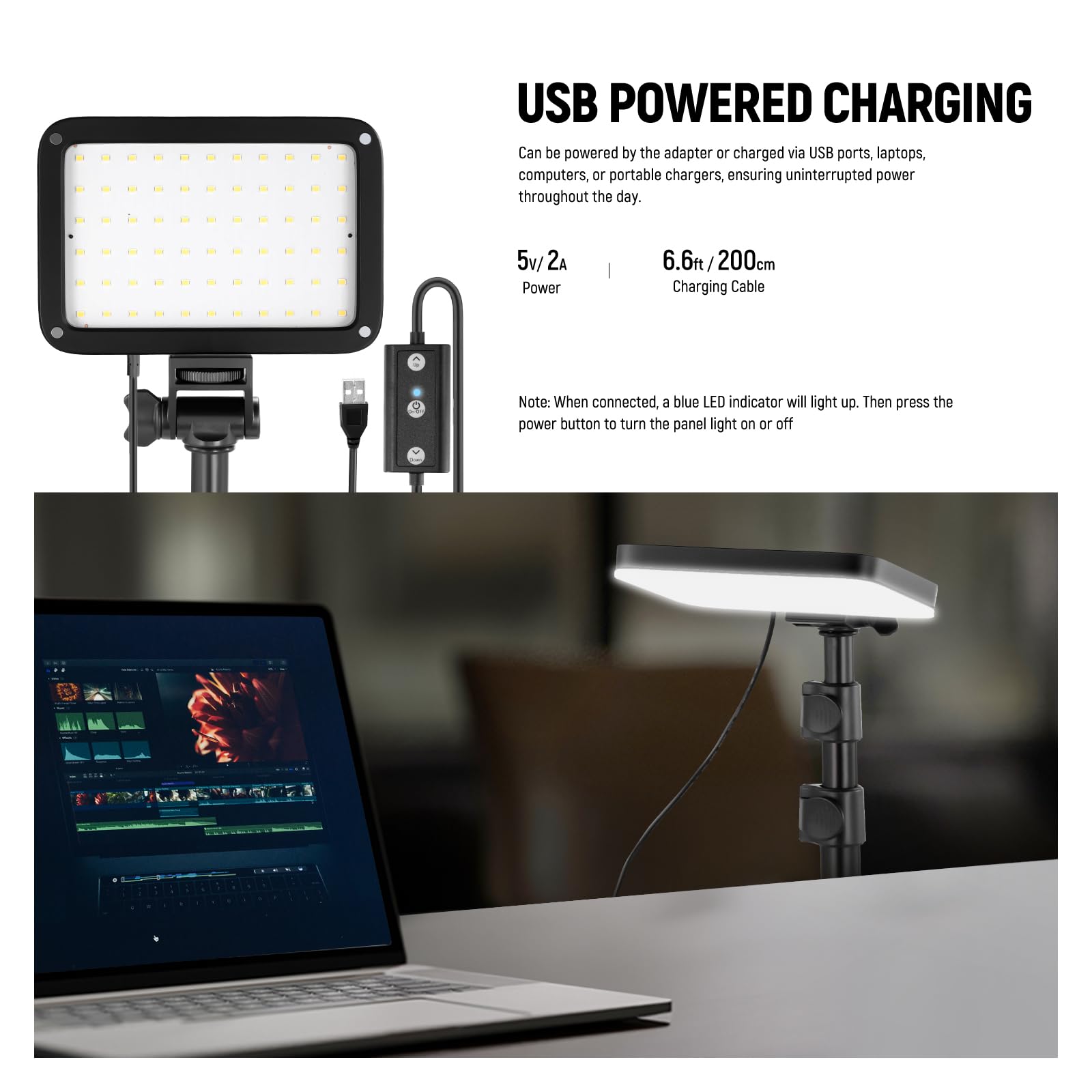 NEEWER Basics 2 Pack LED Video Light Panel Lighting Kit, Bi Color Dimmable Portable Studio Lights with Stands & Filters, 3200K-5600K 750lux CRI95 for Video Recording Live Streaming Photography, BP66