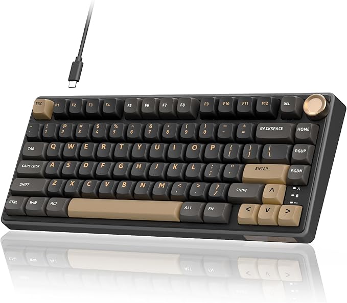 RK ROYAL KLUDGE R75 Wired Gaming Keyboard with Volume Knob, 75% Mechanical Gaming Keyboard Custom Gasket Mount with MDA Profile PBT Keycaps, QMK/VIA, Hot Swappable Silver Switch, Black