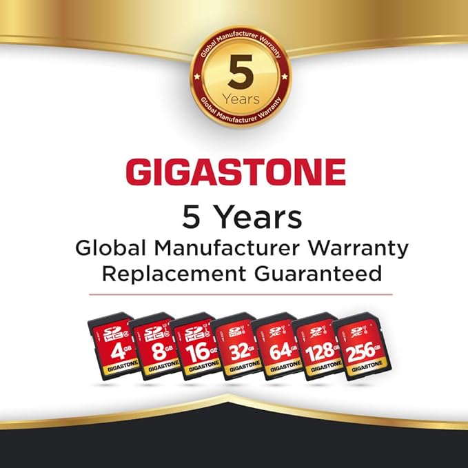 GIGASTONE 128GB SD Card UHS-I U1 Class 10 SDXC Memory Card Full HD Video for Canon Digital Camera, Full-Sized SD Card, with 1 mini case