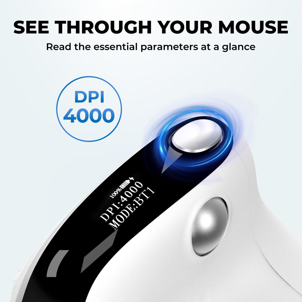 DELUX Seeker Ergonomic Vertical Wireless Mouse with OLED Screen (M618XSD)