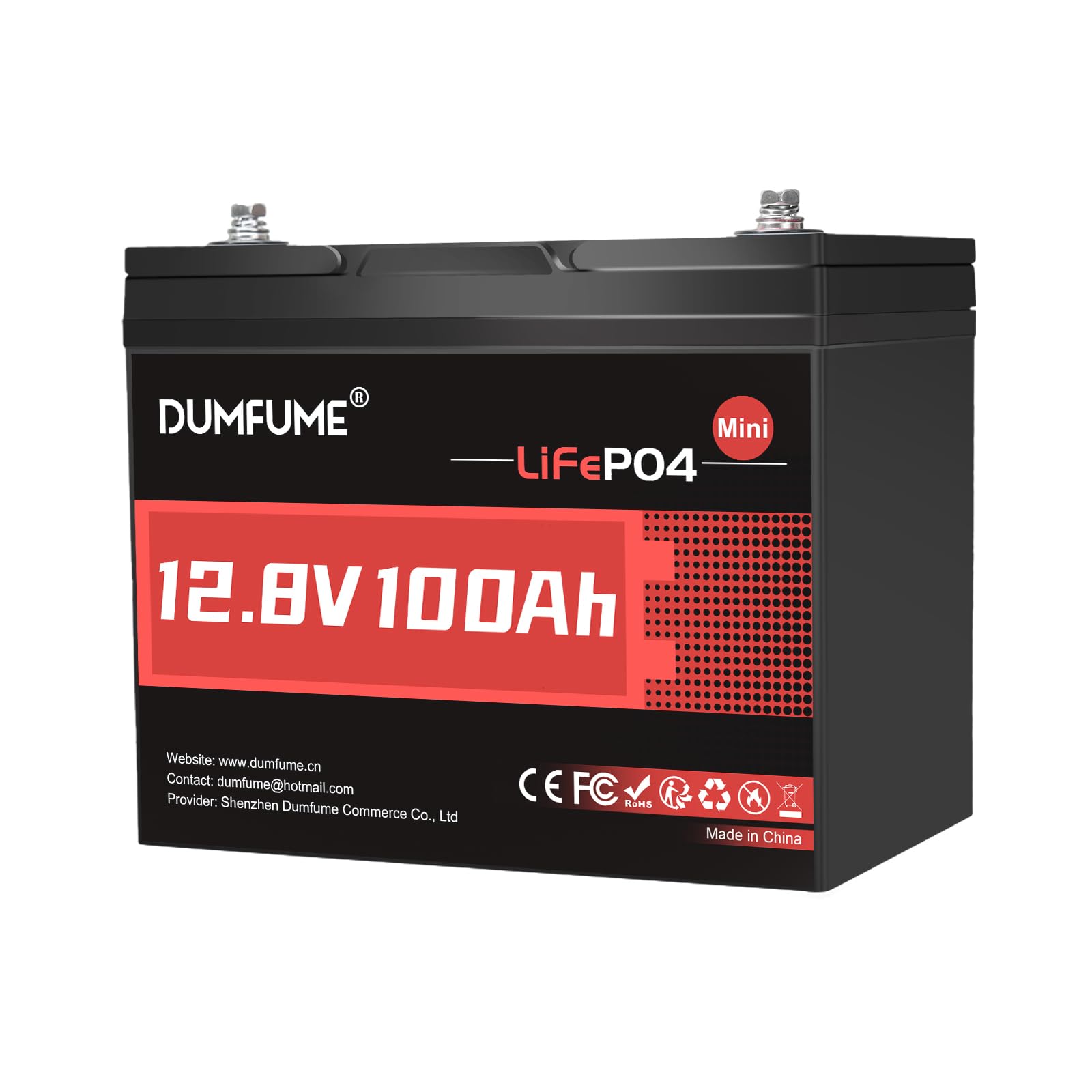 12V 100Ah Mini LiFePO4 Lithium Battery, Built-in 100A BMS