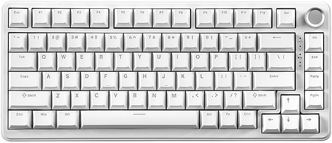 YUNZII B75 Mechanical Keyboard,75% Layout with Knob,Hot Swappable RGB Backlit Gasket Mounted, Creamy Typing, Double-Shot PBT Keycaps,Cherry Profile,for Win/Mac (White, Milk V2 Linear Switch)