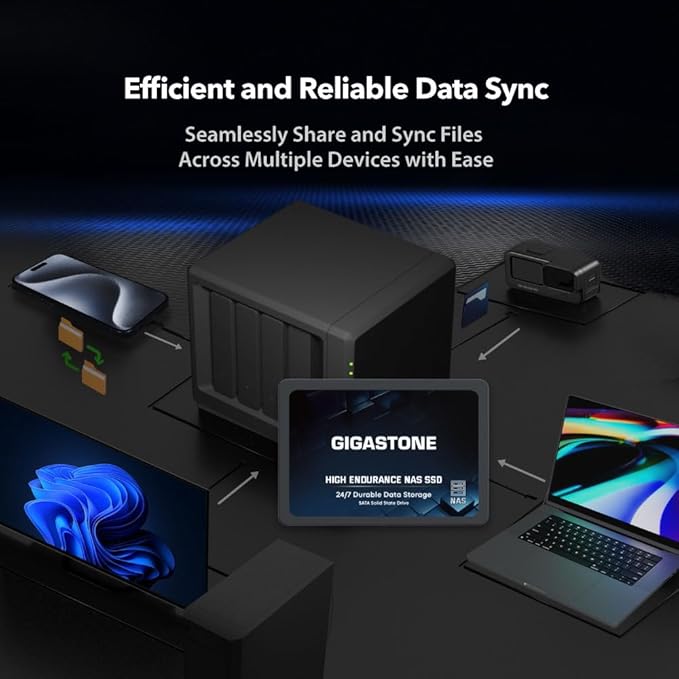 Gigastone 1TB NAS SSD Drive (24-Pack) 24/7 Durable TLC High Endurance RAID Data Storage Network Attached Storage 2.5" SATA Internal Solid State Hard Drives