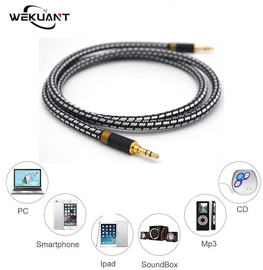 Aux Cord, Audiophile 3.5mm Stereo Audio Cable [0.75m (2.5 Feet), Silvered-Plated Copper core], Unbreakable and Great for Laptop, Tablets,Headphones, Cars and More.
