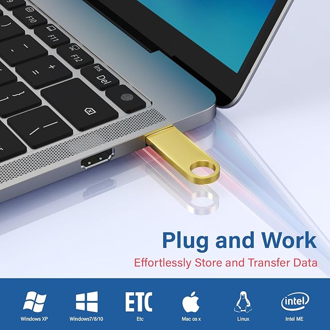 4GB USB Flash Drive 2 Pack with Keychains, Wooolken Sleek Metal USB 2.0 Thumb Drives Memory Stick for PC Laptop Computer