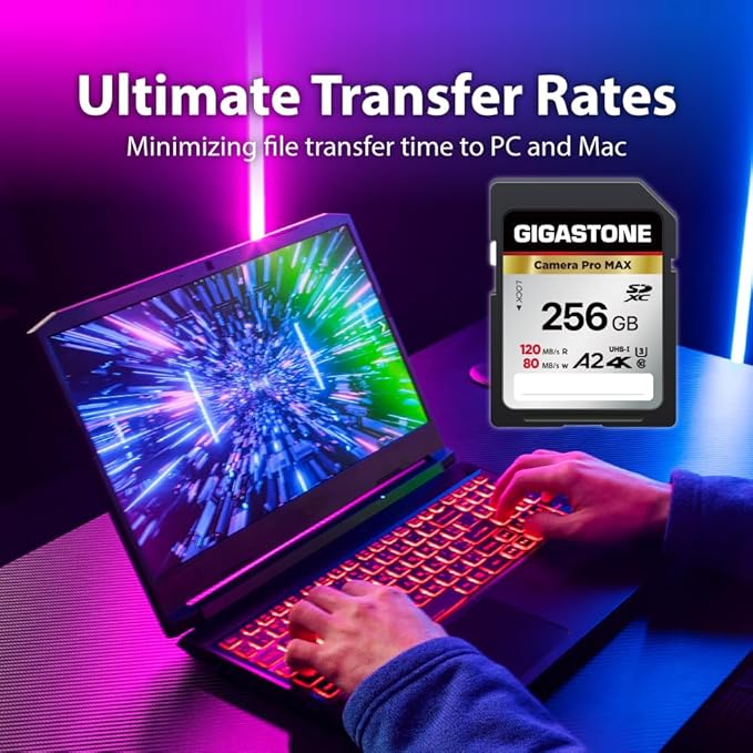 [5-Yrs Free Data Recovery] GIGASTONE 256GB SD Card, 4K Camera Pro MAX, A2 4K SDXC Memory Card High Speed 4K UHD Video Compatible with Canon Kodak Digital Camera, with 1 Mini case