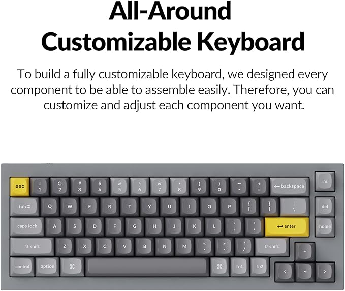 Keychron Q2 Wired Custom Mechanical Keyboard, QMK/VIA Programmable Macro, Full Aluminum, Hot-Swappable Gateron G Pro Blue Switch, 65% Layout Double Gasket Compatible with Mac and Windows - Grey