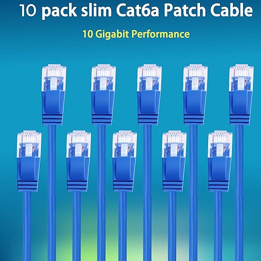 Rapink Patch Cables Cat6a 3ft (10 Pack) Slim, Cat6a Ethernet Patch Cable 10G Support, Snagless Cat 6 Patch Cable for Patch Panel to Switch, Flexiable Cat 6a Ethernet Cable with Gold Plated