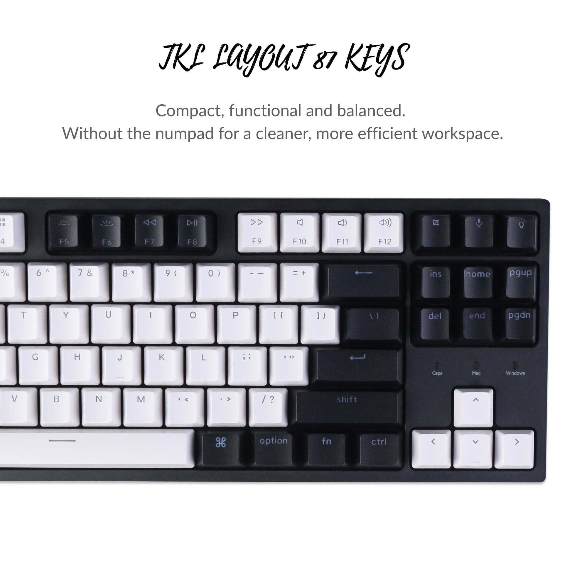 Keychron C1 Wired Mechanical Keyboard TKL, RGB Backlit with Double-Shot ABS Keycaps, 87 Keys Hot-Swappable Pre-lubed Tactile Switch Compatible with Mac Windows