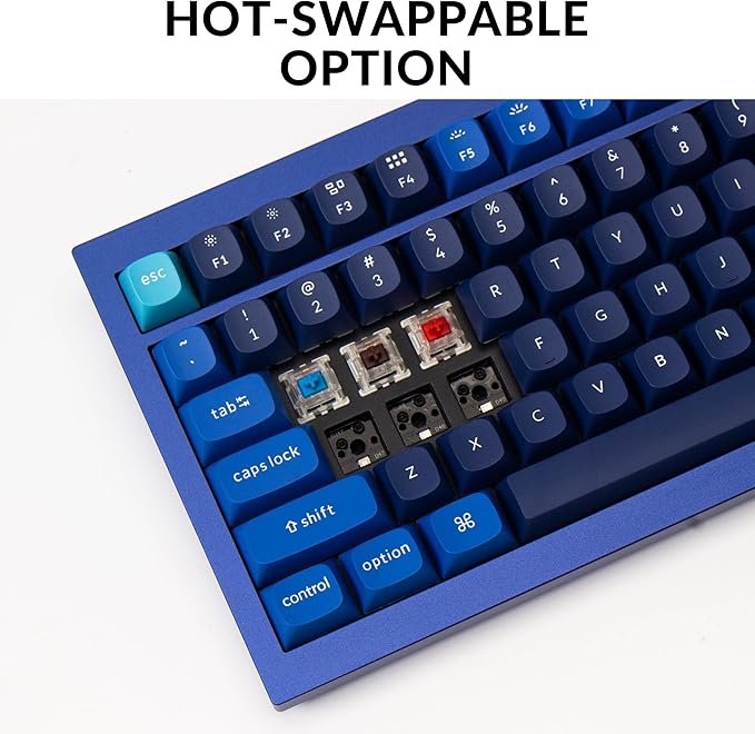 Keychron Q5 Wired Custom Mechanical Keyboard Knob Version, 96% Layout QMK/VIA Programmable Macro with Hot-swappable Gateron G Pro Blue Switch Double Gasket Compatible with Mac Windows Linux (Blue)