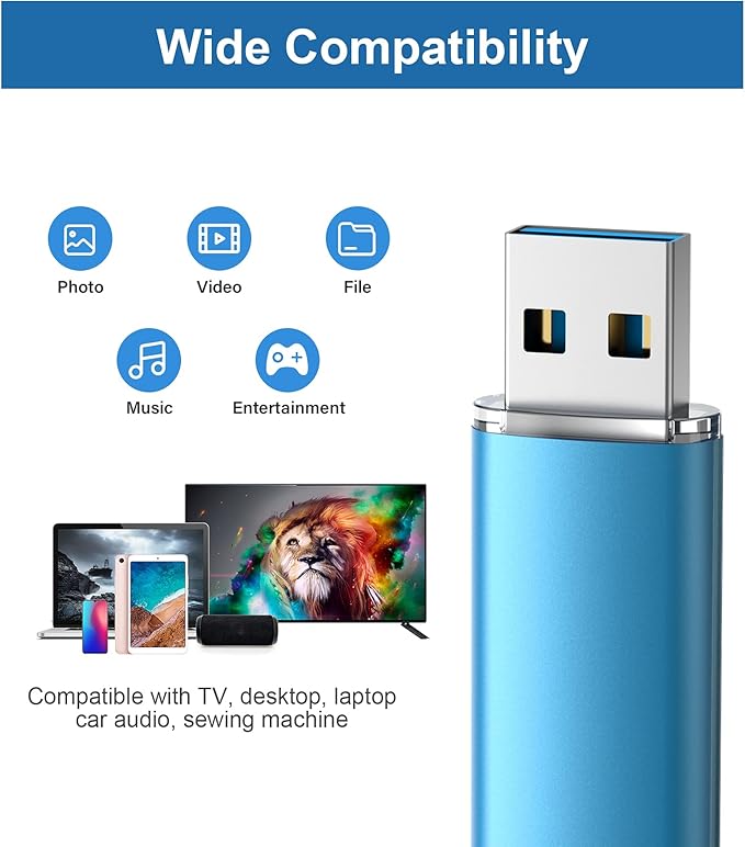TOPESEL 2pack 128GB USB 3.0 Flash Drive High Speed 128G Thumb Drive Memory Stick Jump Drive USB Zip Drive for PC laptops, Tablets, TVs, car Audio (Blue)