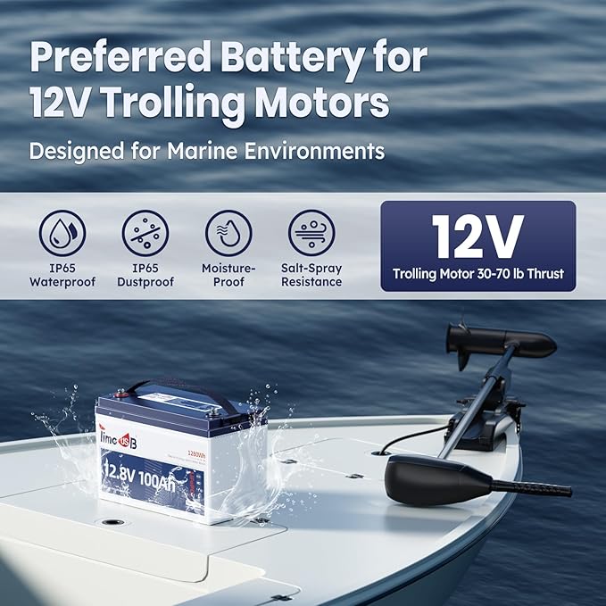 12V 100Ah TM Low-Temp Protection LiFePO4 Battery, Timeusb Group 31 Deep Cycle Battery, Lithium Iron Phosphate Battery for Trolling Motor, RV, Solar, Travel Trailer, Energy Storage- Off Grid
