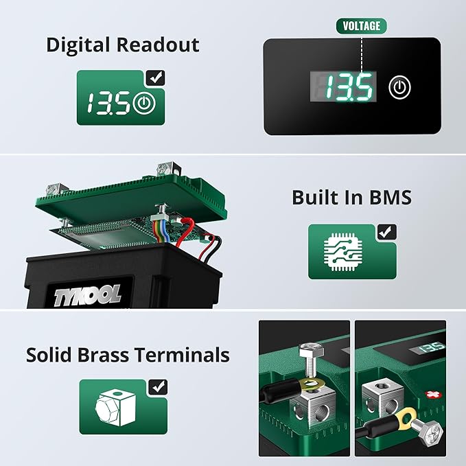 TYKOOL YTX12-BS STD LiFePO4 Lithium Motorcycle Battery,280CCA,2X Cranking Amps,Digital Readout,Compitable for BMW F850GS,Kawasaki Vulcan 900, BRP (Can-AM) DS250 ATV,Piaggio Vespa 300cc Scooter