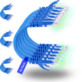 Rapink Patch Cables Cat6 0.5ft (24 Pack), Ethernet Patch Cable 10G, Cat 6 Patch Cable for Patch Panel to Switch, Flexiable Cat 6 Ethernet Cable with Gold Plated Blue