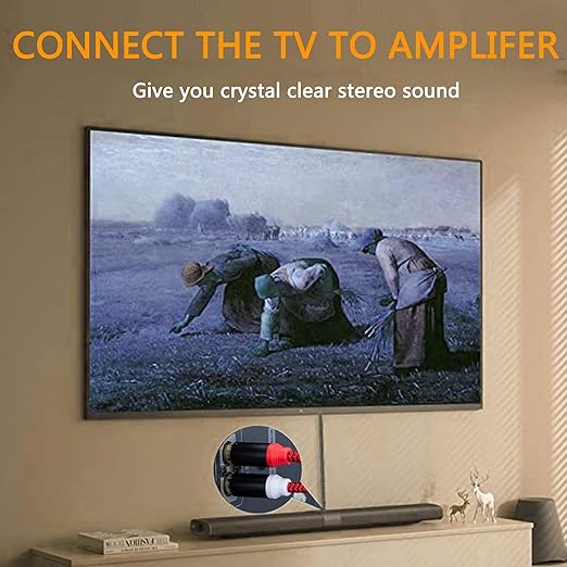 RCA Cable 50Ft,2Rca Male to 2-Rca Male Audio Stereo Subwoofer Cable [Hi-Fi Sound] Nylon-Braided Auxiliary Audio Cord for Home Theater, HDTV, Amplifiers, Hi-Fi Systems,Speakers and etc(50Ft/15M)