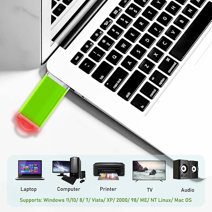 1GB Flash Drive 50 Pack USB 2.0 Flash Drives USB Bulk Thumb Drive Memory Stick Fat 1GB Jump Drives Multipack with Lanyard (Green 50 Packs 1 GB)