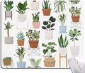 Mouse Pad, Cute House Plants Mouse Pads, Square Washable Cloth Personalized Mouse Mat with Design, Gaming Office Home Non-Slip Rubber Base Computer Mousepad