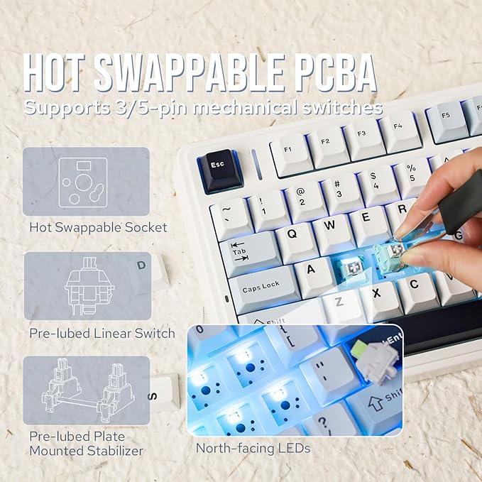 EPOMAKER x Aula F75 Gasket Mechanical Keyboard, 75% Wireless Hot Swappable Gaming Keyboard with Five-Layer Padding&Knob, Bluetooth/2.4GHz/USB-C, RGB (Light Blue, Ice Vein Switch)