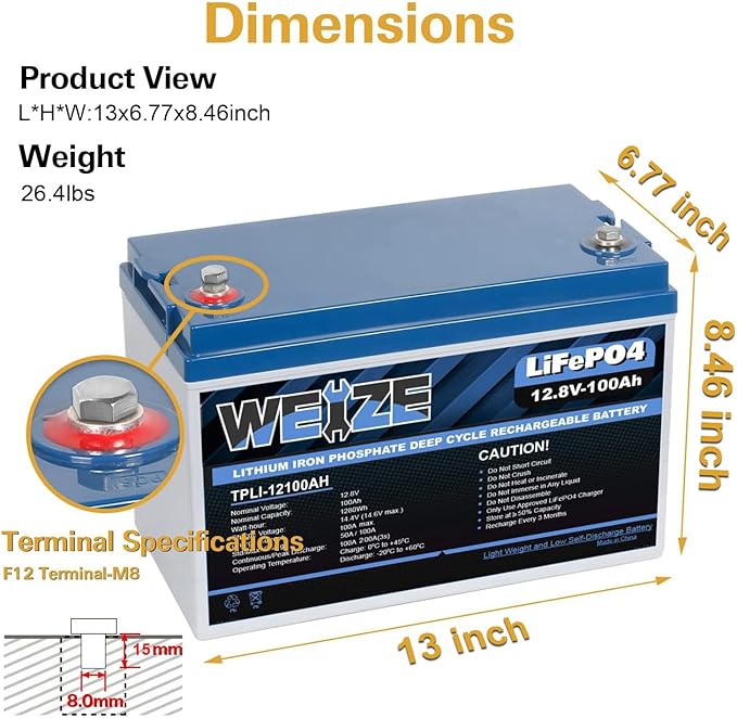 WEIZE 12V 100Ah LiFePO4 Battery Group 31 Lithium Battery, Built-in 100A BMS, Low Temperature Protection Deep Cycle Battery for Trolling Motor, RV, Solar, Marine, Camping, Home Energy Storage (2 Packs)