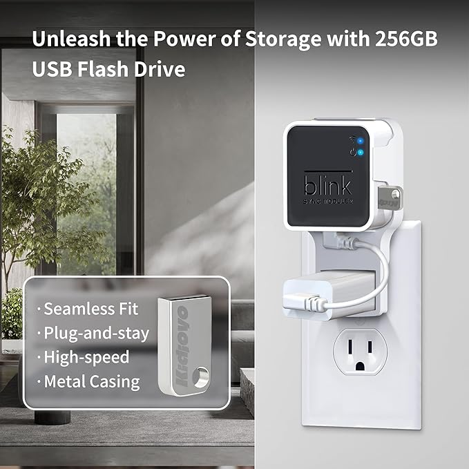 256GB USB Flash Drive & Outlet Wall Mount for Blink Sync Module 2 with Short Cable - Save Space - No Messy Wires - Easy Move Mount Bracket Holder for Blink Outdoor Indoor Security Camera (2 Pack)