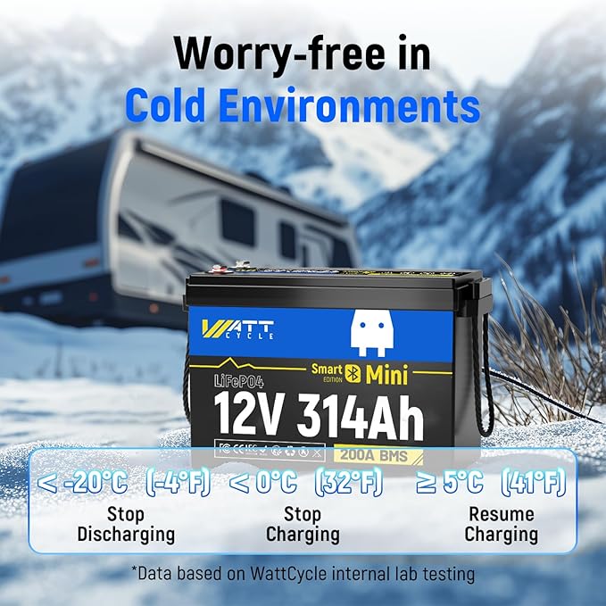 12V 314Ah Mini LiFePO4 Battery Bluetooth with 12V 60A Charger, 12Volt 300Ah + Lithium Batterys BMS 200A, 4.01kWh Energy, Upgraded Aluminum Cooling Fins & Braided Copper Wires
