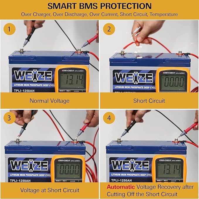 WEIZE 12V 50Ah Lithium LiFePO4 Battery, Grade A Cells Built in BMS, 8000+ Deep Cycles Low Temperature Protection Battery for Marine, Trolling Motor, Solar, Power Wheelchair, Backup Sump Pump (2 Packs)