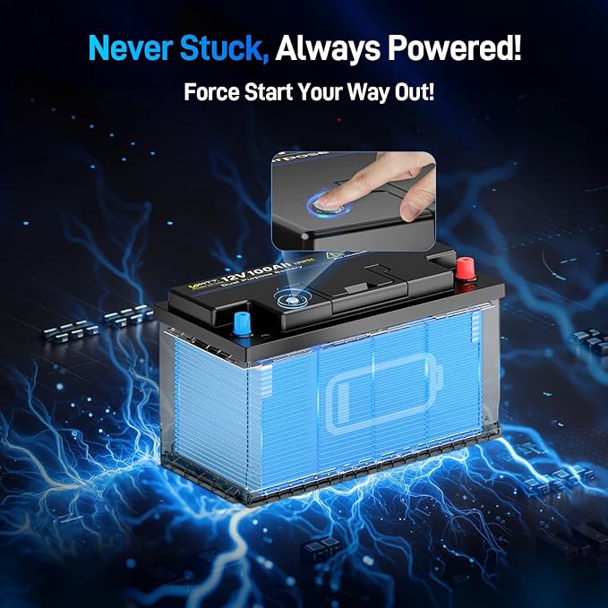 12V 100Ah Bluetooth LiFePO4 Battery, [Cranking &Deep Cycle] Lithium Battery with Self-Heating, Built-in 200A BMS, Perfect for Trolling Motor, RV, Marine, Boat(2 Pack)