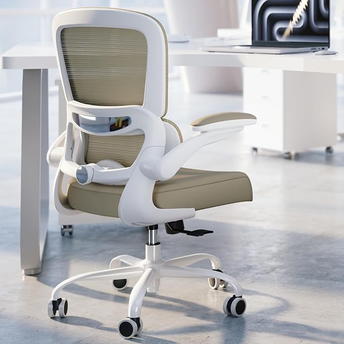 TRALT Office Chair - Ergonomic Desk Chair with Adjustable Lumbar Support, Mesh Computer Chair, Executive Chair for Home Office Comfortable Lumbar Support (1