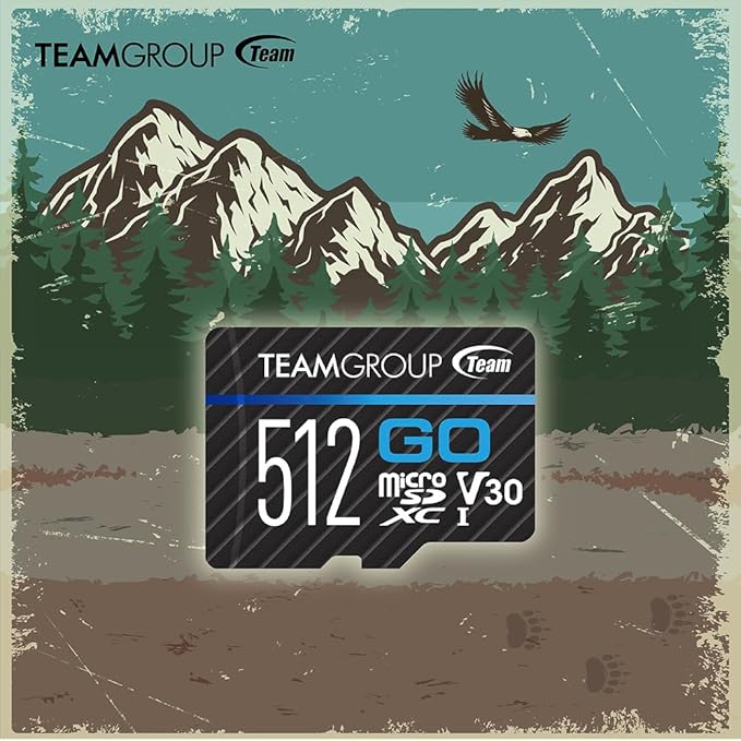 TEAMGROUP GO Card 1TB Micro SDXC UHS-I U3 V30 4K, R/W up to 100/90 MB/s for GoPro &Action Cameras High Speed Flash Memory Card for Outdoor, Sports, 4K Shooting, GoPro &Insta360 TGUSDX1TU302