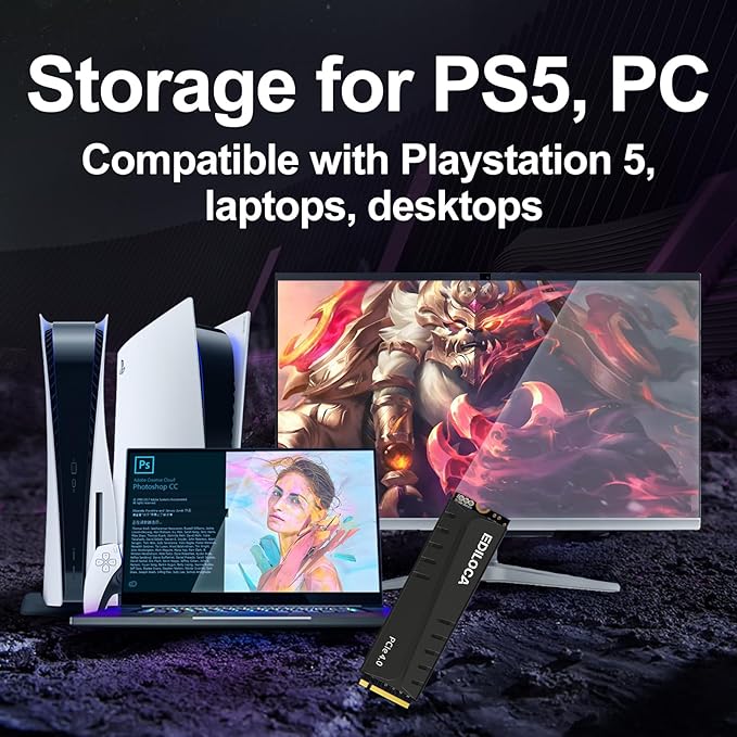 4TB PS5 SSD with Heatsink PCIe Gen4 NVMe M.2 Gaming SSD, 7400MB/s Read, 4GB DRAM Cache, 3D TLC | Internal Solid State Drive Compatible with PS5 & PC(EN855)