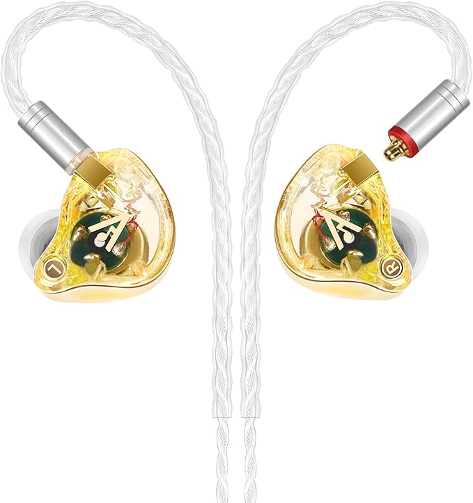 Vibes 202 Wired Earbuds - HiFi in Ear Monitor Headphones – Professional Noise-Isolating Ear Buds - Clear Sound, Deep Bass & Comfort-Fit IEM Earphones - MMCX to 3.5mm, Silver Plated Cord, Carrying Case