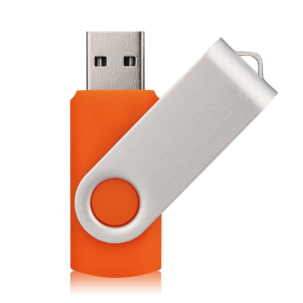 Aiibe 10 Pack 128GB Flash Drive USB Drive Thumb Drives USB 2.0 Memory Stick Jump Drives 128GB USB Flash Drive Bulk (10 Mixed Colors: Black Blue Red Green Orange White Yellow Pink Purple Silver)