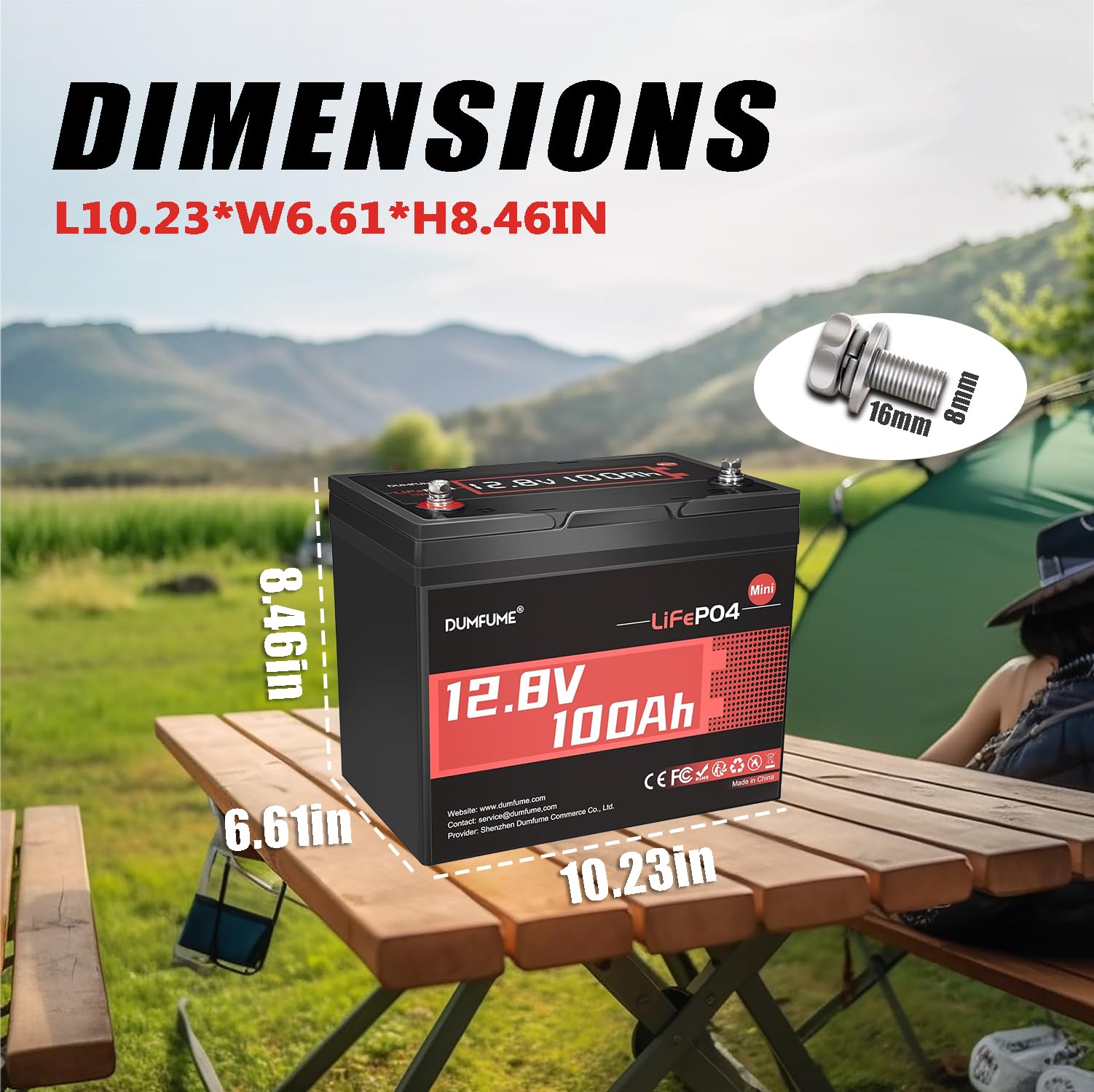 12V 100Ah Mini LiFePO4 Lithium Battery, Built-in 100A BMS